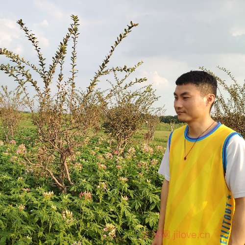 37岁岁广东单身帅哥 - 阿坝吉缘网